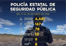 Asegura Gobierno de Sonora más de 4 mil dosis de sustancia similar al narcótico*