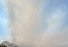 GOBIERNO DE SONORA SOFOCA INCENDIO FORESTAL EN TUBUTAMA.