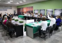 APOYA CABILDO ABIERTO PROYECTO PARA EL BIENESTAR PSICOLÓGICO EN GRUPOS DE ATENCIÓN PRIORITARIA DE CAJEME*