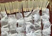 *Realiza Gobierno de Sonora acciones contra el narcomenudeo en Hermosillo*