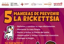 Trabaja Gobierno de Sonora en acciones preventivas contra la rickettsiosis*