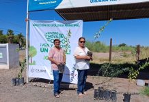 CAJEME SOSTENIBLE: VIVERO MÓVIL PROMUEVE LA EDUCACIÓN AMBIENTAL Y REFORESTACIÓN*