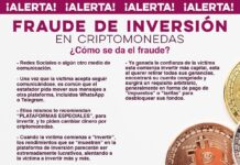 Gobierno de Sonora previene por nueva modalidad de fraude en plataformas de inversión en criptomonedas*