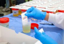 APLICAN EXÁMENES TOXICOLÓGICOS A PERSONAL OPERATIVO DE SEGURIDAD PÚBLICA DE CAJEME