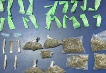 *Operativo del Gobierno de Sonora y fuerzas federales asegura narcótico en Cajeme*