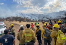 LOGRA GOBIERNO DE SONORA IMPORTANTE AVANCE EN EL CONTROL DEL INCENDIO FORESTAL EN LA SIERRA LOS AJOS