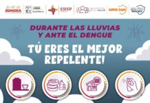 Refuerza Gobierno de Sonora acciones para prevenir el dengue durante la temporada de lluvias