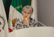 Presenta diputada Rebeca Silva iniciativa para fortalecer derechos político-electorales de mujeres indígenas