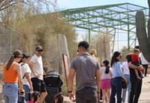 *Invita Gobierno de Sonora a disfrutar un verano educativo y natural en el Centro Ecológico de Sonora*