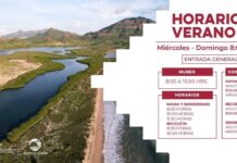 *Invita Gobierno de Sonora a disfrutar del Estero El Soldado durante el verano 2025*