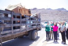 *Arranca Gobierno de Sonora 2da. Jornada Nacional de Lucha contra el Dengue 2025