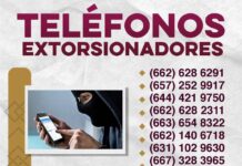 *Exhorta Gobierno de Sonora a no responder números telefónicos identificados como extorsionadores*