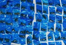 *Gobierno de Sonora genera resultados contra el narcomenudeo en Empalme*