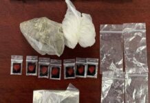 *Trabajo coordinado del Gobierno de Sonora asegura narcótico en Santa Ana*