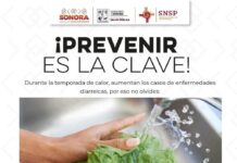 Recomienda Gobierno de Sonora reforzar cuidados para evitar enfermedades diarreicas durante el calor extremo*