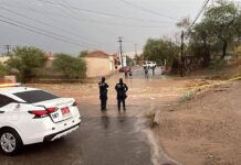 Atiende Gobierno de Sonora afectaciones por lluvias de las últimas horas