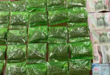 Operativo del Gobierno de Sonora en Caborca incauta 25 envoltorios con narcótico y recuperan vehículo robado.*