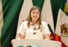 Legislamos para cambiar realidades, tocar vidas y derribar muros de desigualdad: diputados PT