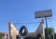 *REALIZA SALUD MUNICIPAL MÁS DE 129 MIL KILOGRAMOS DE DESCACHARRIZACIÓN EN CAJEME*