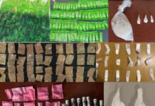 *Más de 250 dosis de narcótico fueron aseguradas por Gobierno de Sonora en Hermosillo, Cajeme y Nogales*