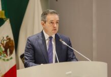 Sonora dará prioridad a flora nativa en áreas verdes para cuidar el agua: Omar Del Valle Colosio