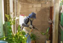 *Intensifica Gobierno de Sonora acciones de control del dengue en el estado