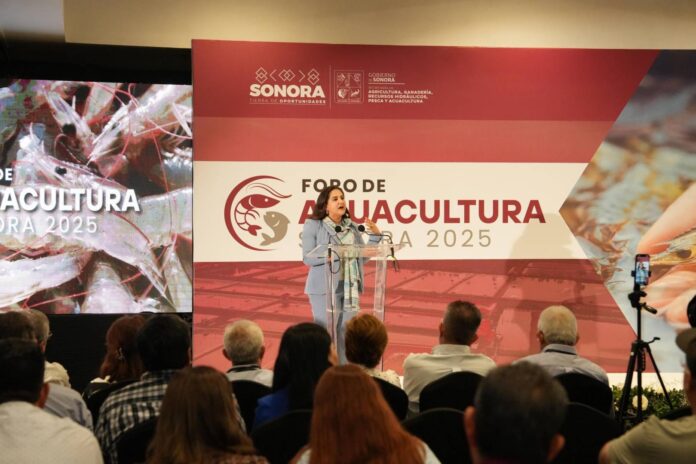 benjamin-perez-diaz_yFD8Udso