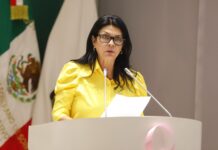 Diputados de Morena reconocen avances del primer año de la presidenta Claudia Sheinbaum al frente del país