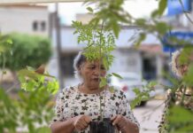 *CAJEME SOSTENIBLE: “VIVERO MÓVIL EN TU COMISARÍA” PROMUEVE LA REFORESTACIÓN Y CONCIENCIA AMBIENTAL*