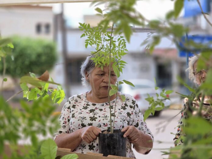 benjamin-perez-diaz_7KEPWaXa