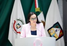 Propone Iris Sánchez Chiu revisiones obligatorias a vehículos y conductores del transporte público y de personal en Sonora*