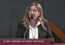 *Participa IEE Sonora en Audiencia Pública para la Reforma Electoral Nacional*