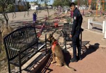 *Asegura Policía Estatal 564 envoltorios de narcótico durante un día de operativos en Hermosillo*