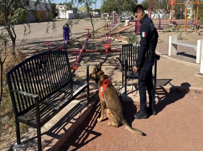 benjamin-perez-diaz_aPTrMFXW