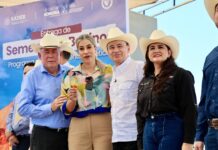 Gobernador Durazo beneficia a pequeños y medianos ganaderos sonorenses con entrega de maquinaria y sementales bovinos