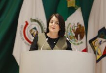 *Impulsa “Ley Monse” diputada Gabriela Félix*
