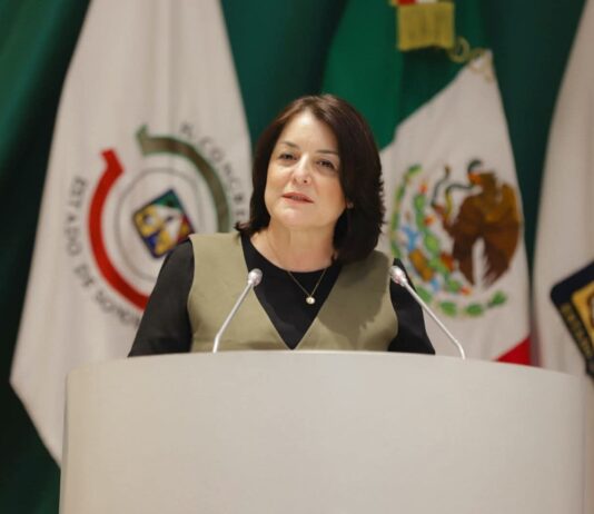 *Impulsa “Ley Monse” diputada Gabriela Félix*