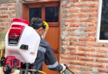 REFUERZA SALUD SONORA ACCIONES CONTRA LA RICKETTSIA CON MÁS DE 2 MIL 600 FUMIGACIONES