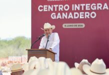Respiro para ganadería: arranca Durazo obra estratégica para industrialización de la carne sonorense