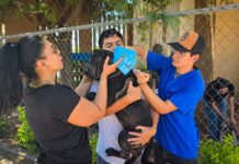 Realiza ITSON campaña gratuita de vacunación antirrábica